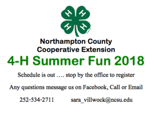 Cover photo for Summer Fun 2018