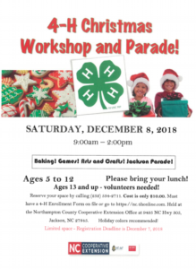Cover photo for 4-H Christmas Workshops and Parade