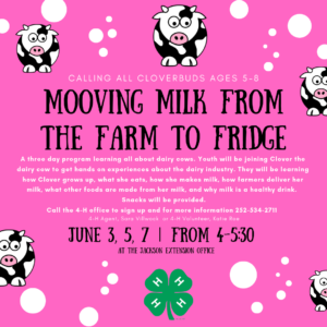 Dairy Workshop flyer