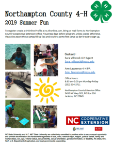 Summer Fun flyer