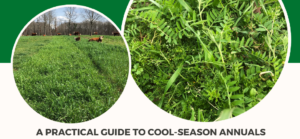 Cover photo for Virtual Forage Field Day: Cool-Season Annuals