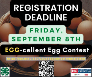Cover photo for 2023 Eggcellent Egg Contest